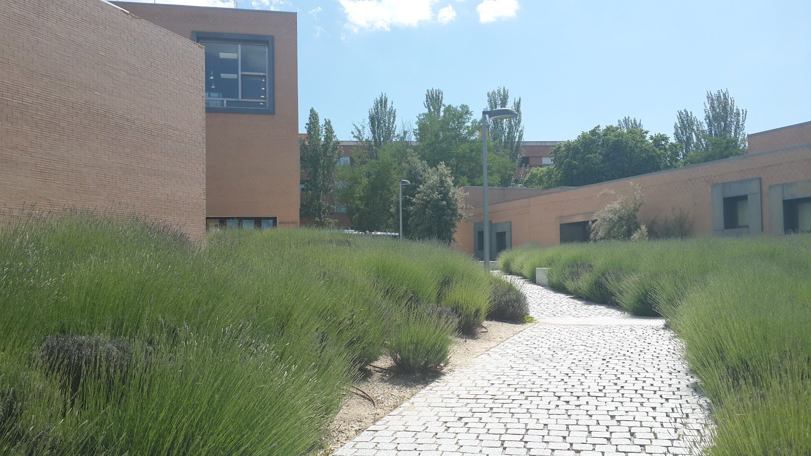 Biblioteca Municipal Benito Pérez Galdós (Centro Cultural Volturno)