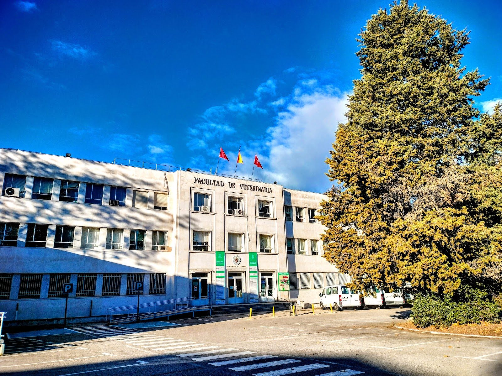 Biblioteca UCM – Veterinaria